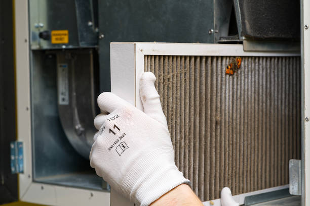Best Local Air Duct Cleaning Services  in Preston Heights, IL