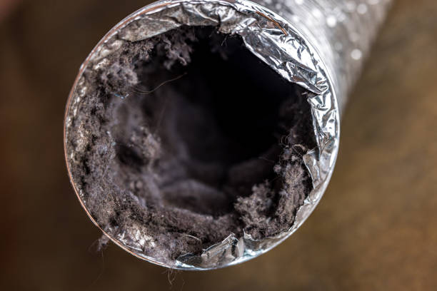 Best Home Air Vent Cleaning  in Preston Heights, IL